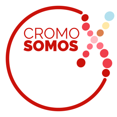CromosomosX